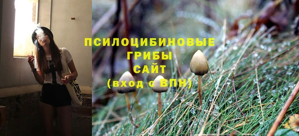 хмурый Армянск